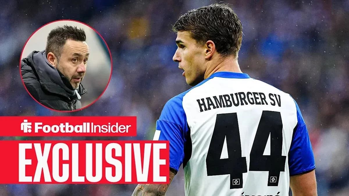 Player in Hamburger SV jersey during match Player in Hamburger SV jersey during match