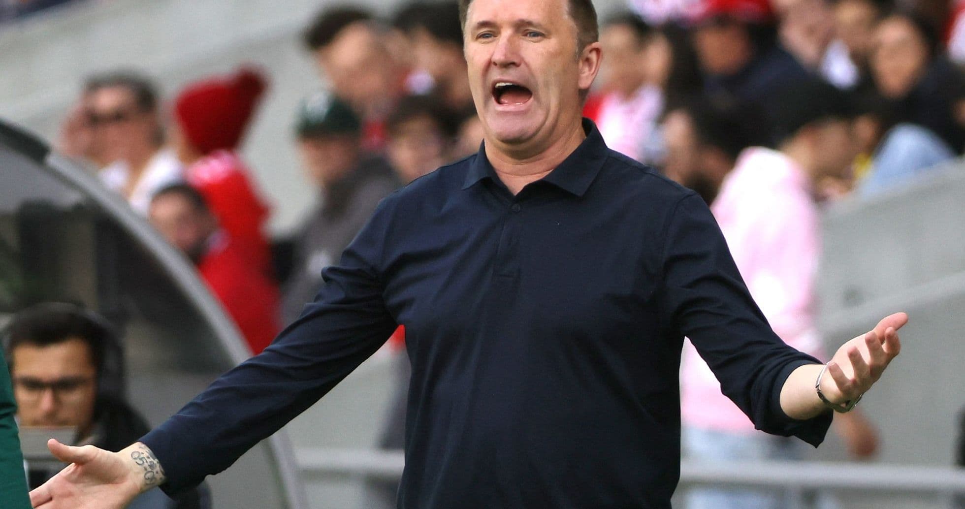Coach gesturing passionately during a match Coach gesturing passionately during a match